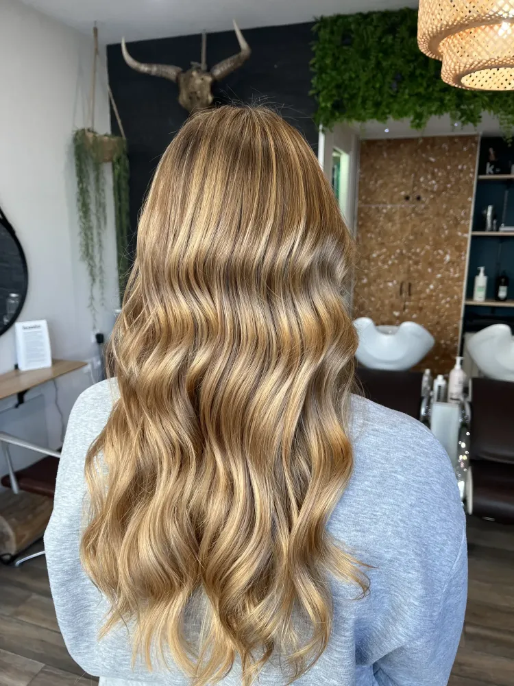 balayage près de Vic-en-Bigorre