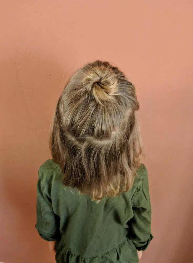 chignon près de Vic-en-Bigorre