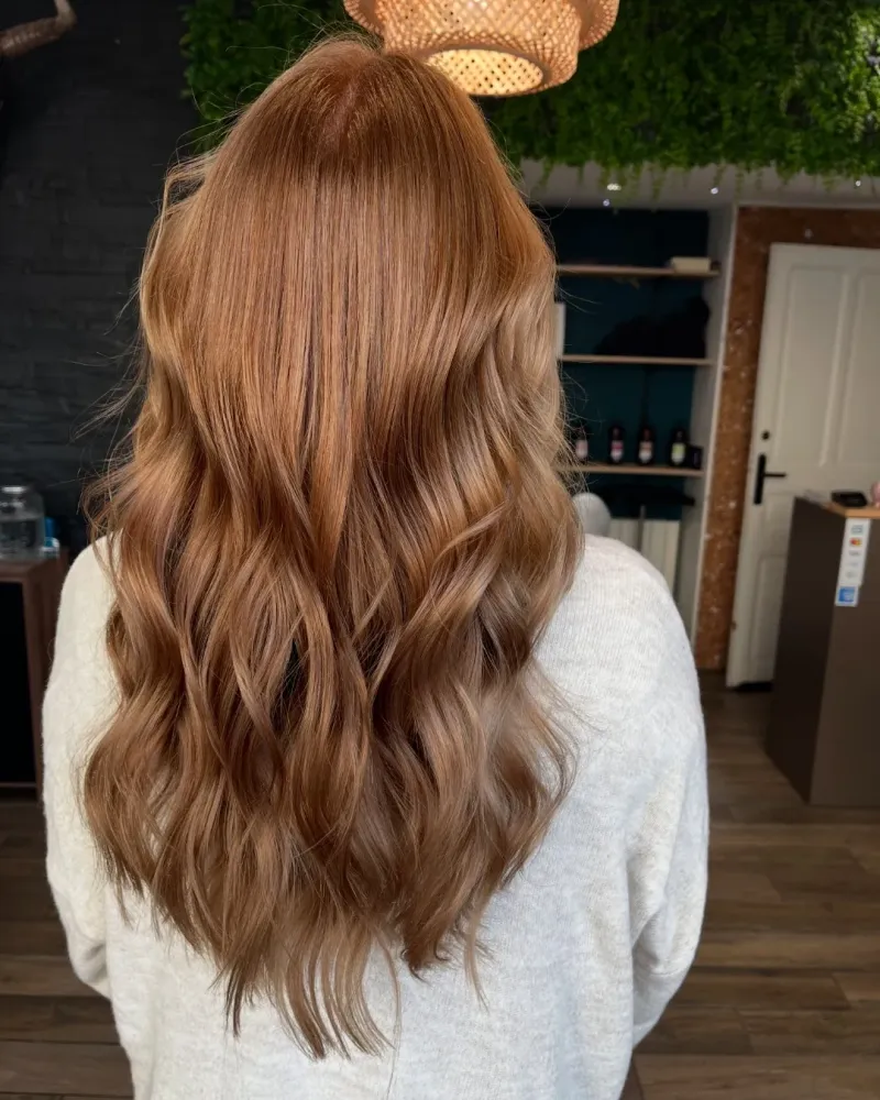 brushing près de Vic-en-Bigorre